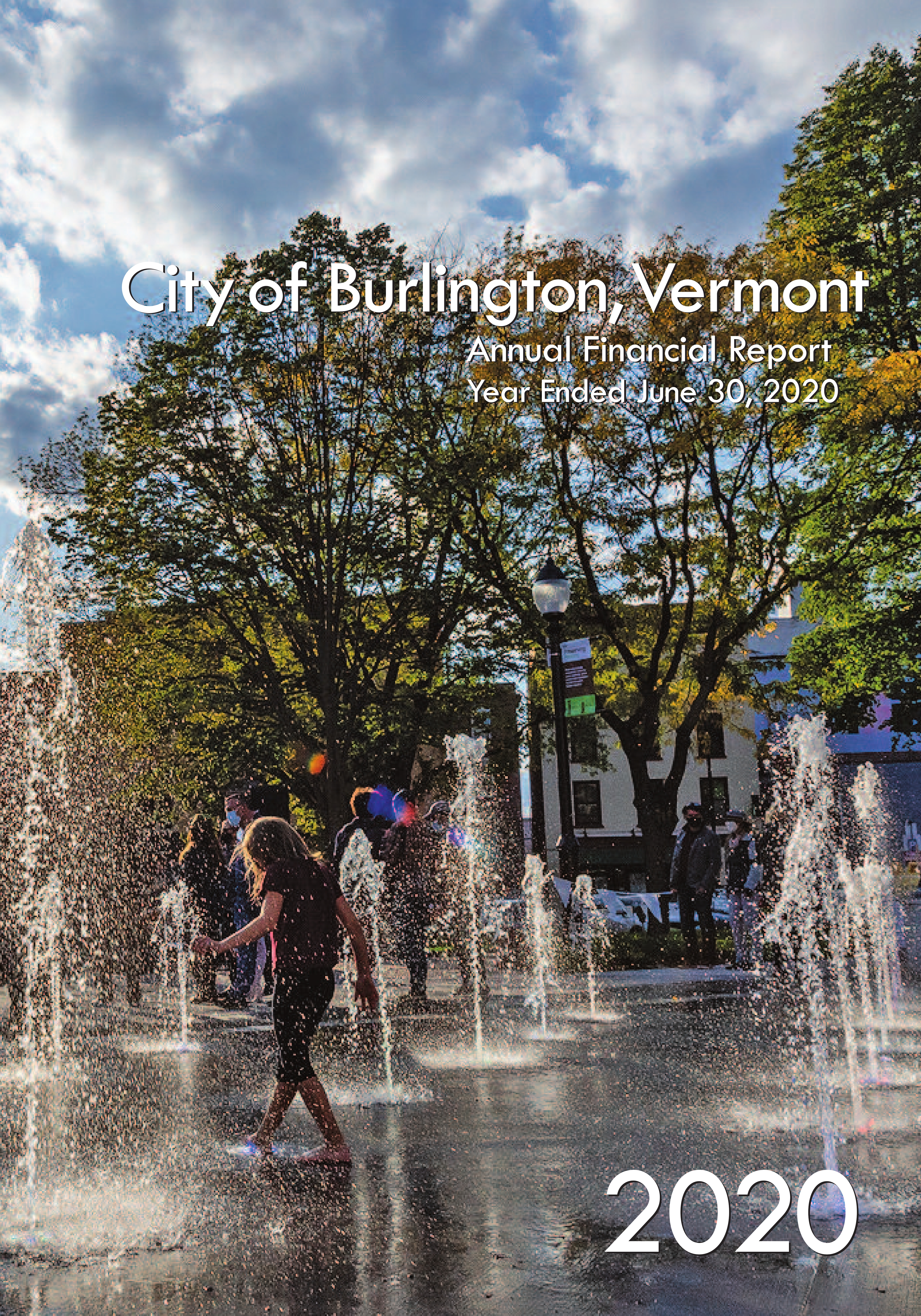 FY2020 Annual Report cover